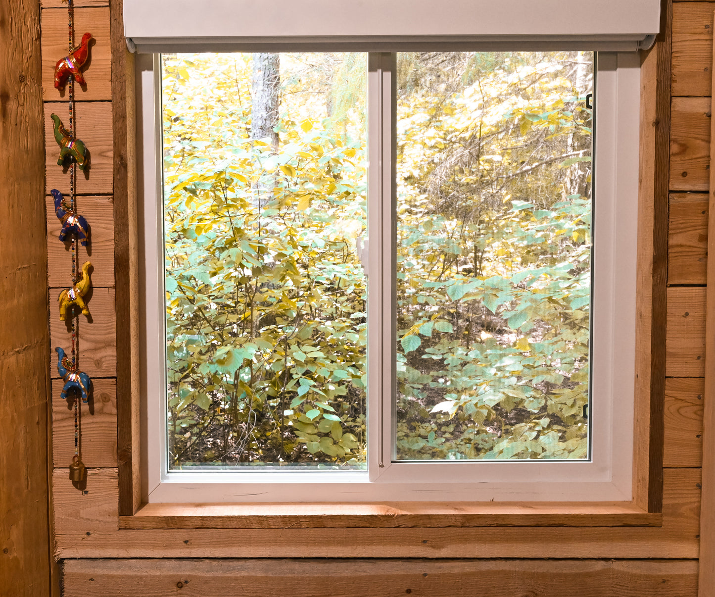 Rajastan Elephant Strand